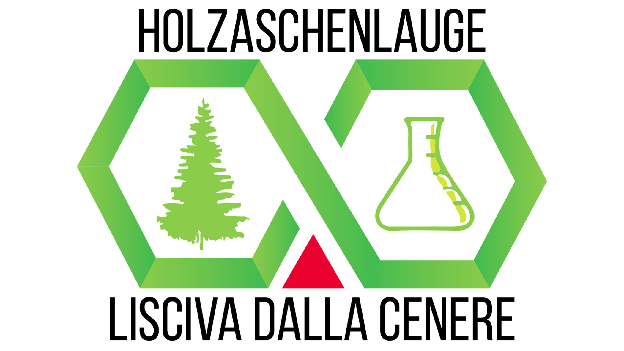 Logo - Holzaschenlauge